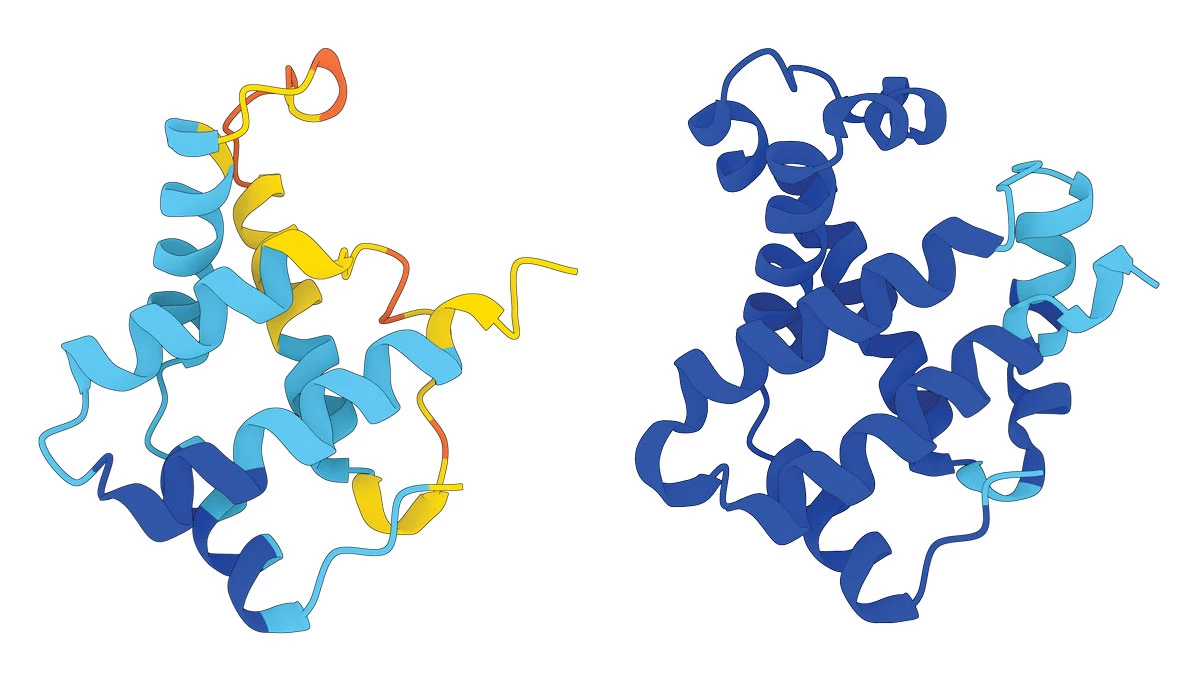 Proteine più piccole grazie all'AI: il nuovo strumento che potrebbe rivoluzionare la terapia genica